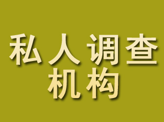 田阳私人调查机构