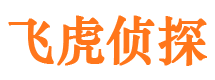 田阳市侦探调查公司